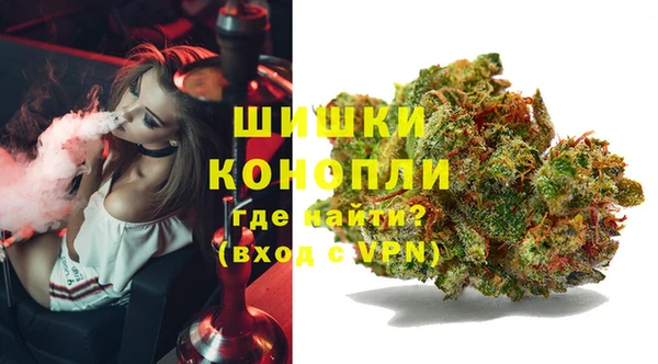 ПСИЛОЦИБИНОВЫЕ ГРИБЫ Балахна