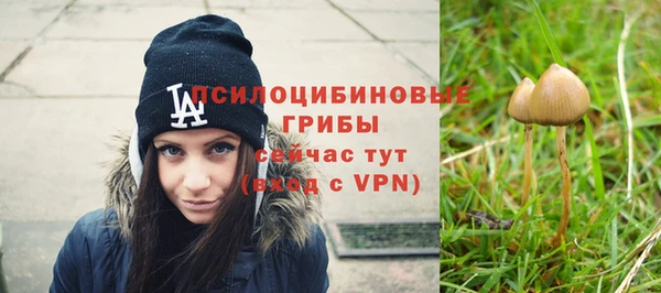 ПСИЛОЦИБИНОВЫЕ ГРИБЫ Балахна