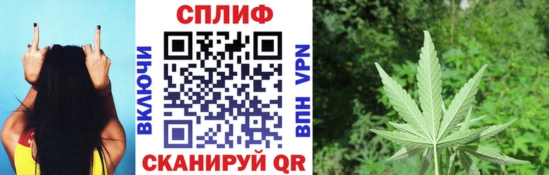 Купить где  Нея  Марихуана White Widow 
